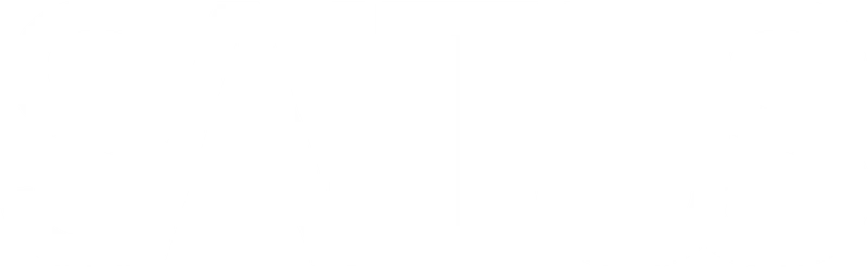 SALTUS